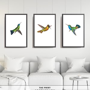 Set of 3 beautiful minimalist vintage bird digital wall art, gallery wall.