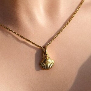 seashell necklace，shell necklace，sea shell necklace，gold seashell necklace，gold seashell necklace，seashell jewelry，seashell necklace gold，