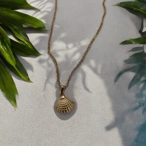 seashell necklace，shell necklace，sea shell necklace，gold seashell necklace，gold seashell necklace，seashell jewelry，seashell necklace gold，