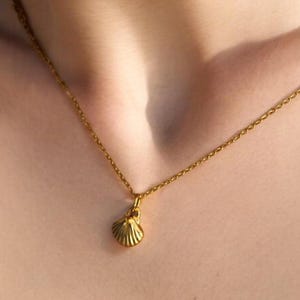 seashell necklace，shell necklace，sea shell necklace，gold seashell necklace，gold seashell necklace，seashell jewelry，seashell necklace gold，
