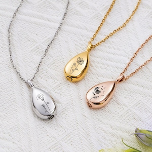 Personalized Keepsake Necklace Unique Handmade Jewelry Memorial Gifts for Her Cremation Jewelry Anniversary Gift Urn For Dog Ashes Pet Loss