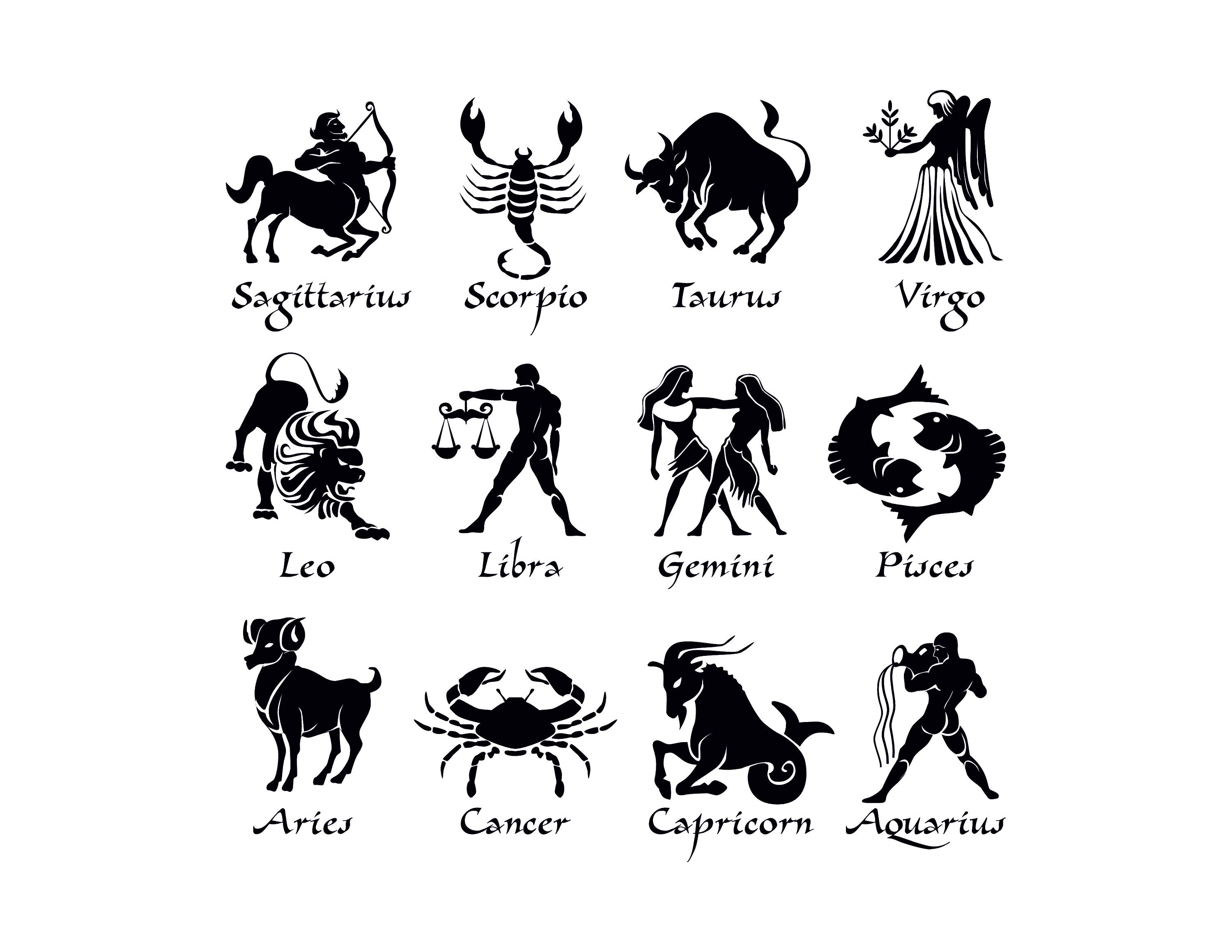 Zodiac Signs SVG Bundle: Astrology Designs for Cricut (digital ...