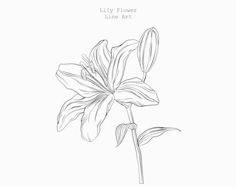 Lily Flower Line Art SVG: Elegant Wedding Design (Digital Download)
