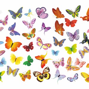 Butterfly SVG Bundle: Flower Clipart, Cricut Silhouette Cut Files (Digital Download)