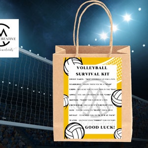 Peut inclure: Un sac cadeau en papier brun avec une étiquette jaune avec un design de volley-ball et le texte "Volleyball Survival Kit". Le kit comprend des collations et des messages encourageants. Le sac a une poignée et est placé sur un fond flou d'un terrain de volley-ball.