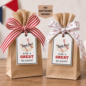 Baseball Thanks For a Great Season Tags End of Season Snacks Team Treat Label Baseball Player Thank You Baseball Favor Tags 3 Sizes