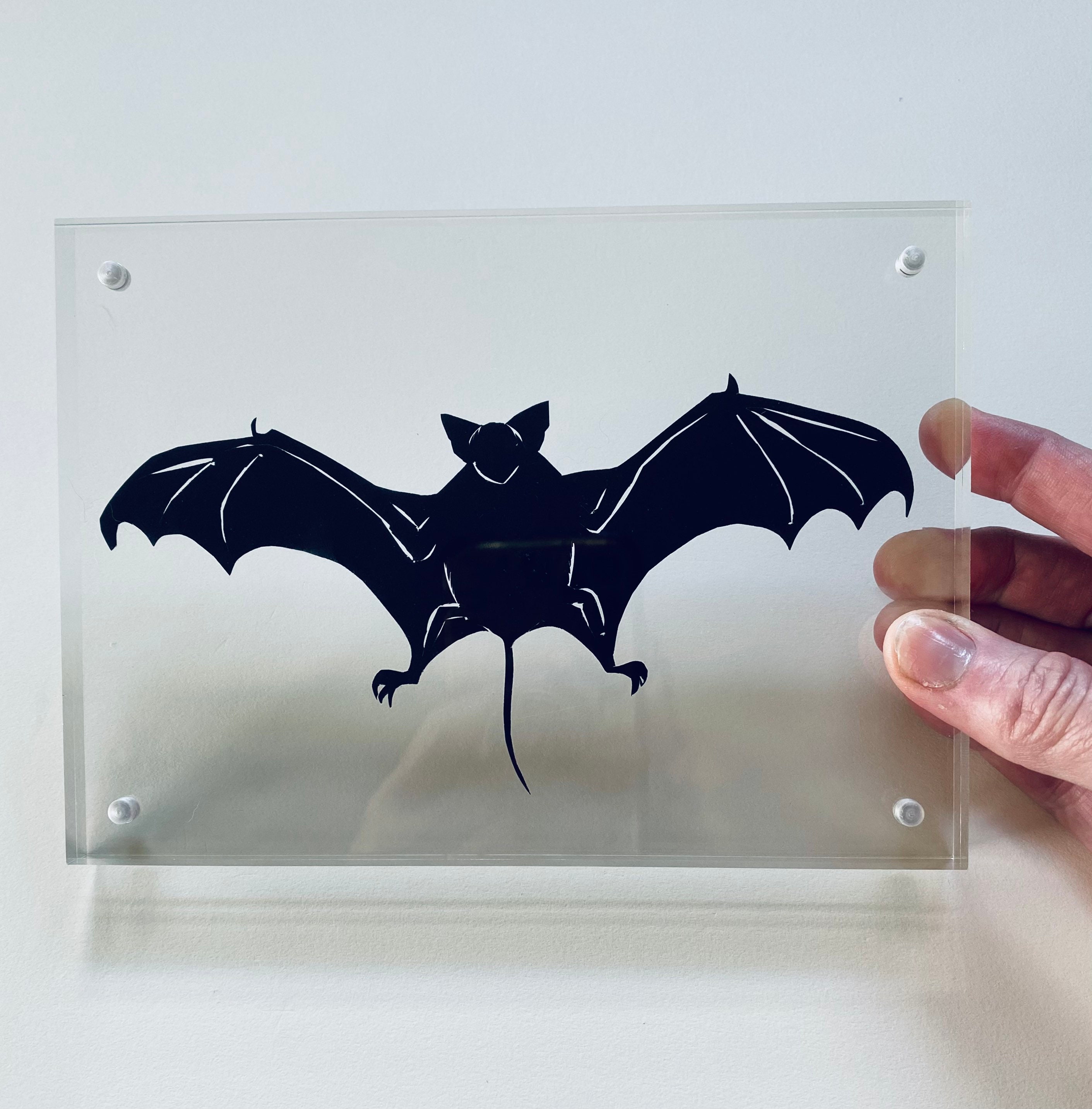 FRAMED Paper Cut Bat Silhouette, Hand Cut With Scissors, Floating