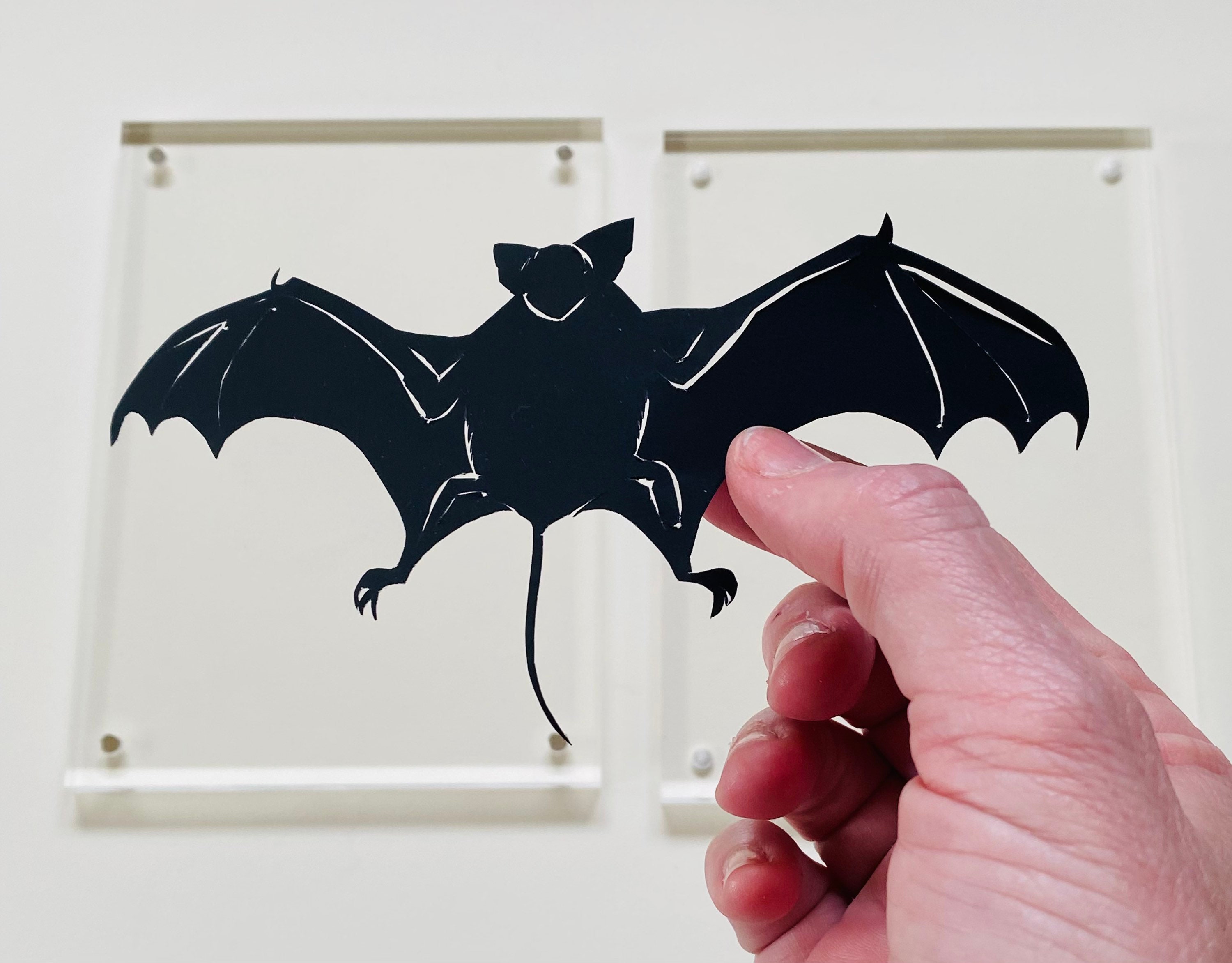 FRAMED Paper Cut Bat Silhouette, Hand Cut With Scissors, Floating