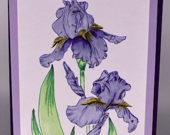 Purple Iris Greeting Card | Birthday, Thank You, Mother's Day | Free Shipping