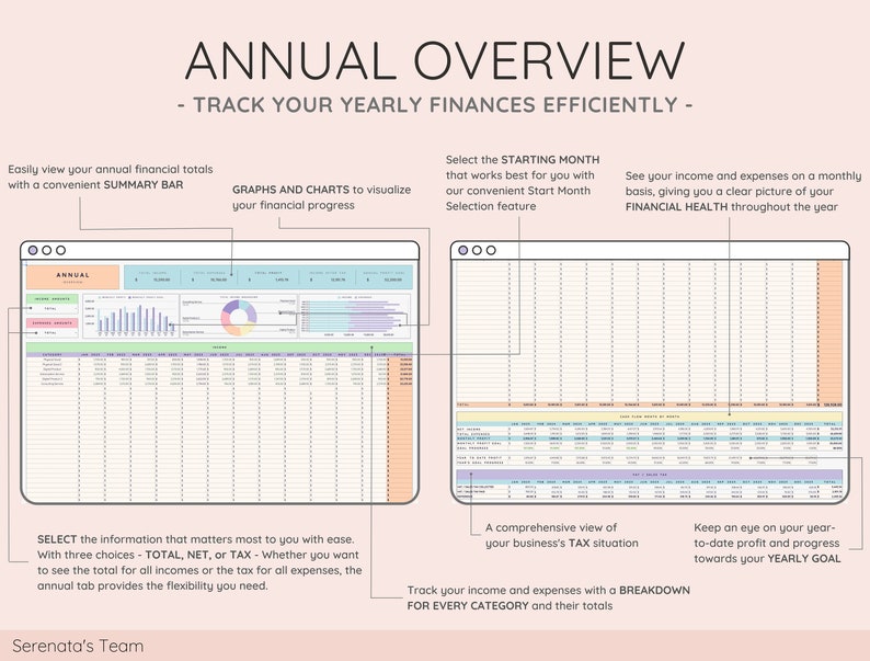 May include: A colorful infographic with the title "Annual Overview - Track Your Yearly Finances Efficiently" and a breakdown of how to track income and expenses. The infographic includes a summary bar, graphs, charts, and a monthly breakdown of financial health.