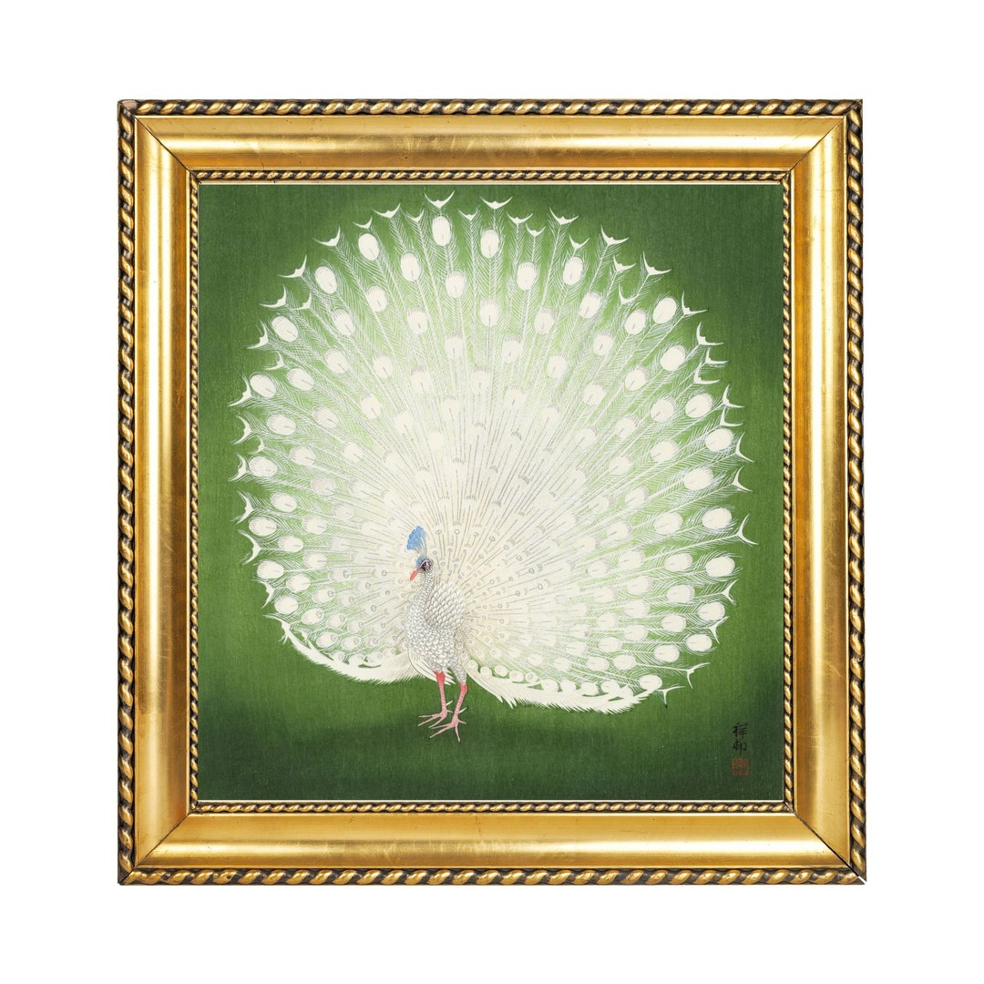 Vintage White Peacock Painting Digital Download, Asian Bird Art