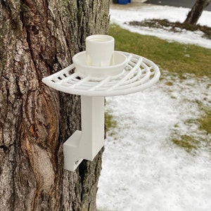 Tree bracket bottle bird feeder
