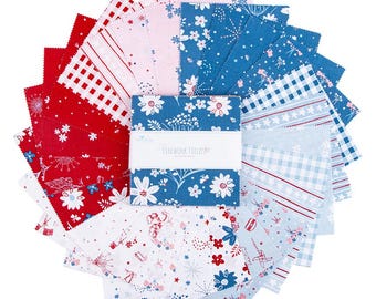 Firework Fields 5 Inch Stacker, 42 Pcs.