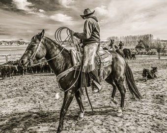 Fine Art Photography, Western Print, Cowboy Art, Wall Decor, Farmhouse Decor, Western Decor