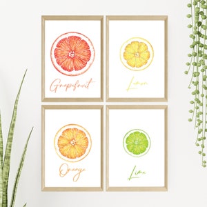 Minimalist Citrus Cross-section Wall Art, Summer Fruit Aesthetic ...