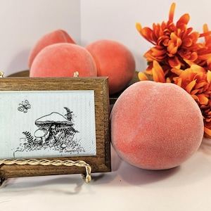 May include: A framed black and white illustration of a mushroom with a butterfly above it. The frame is made of dark wood and has a gold stand. The frame is sitting on a white surface with several red peaches and orange flowers in the background.