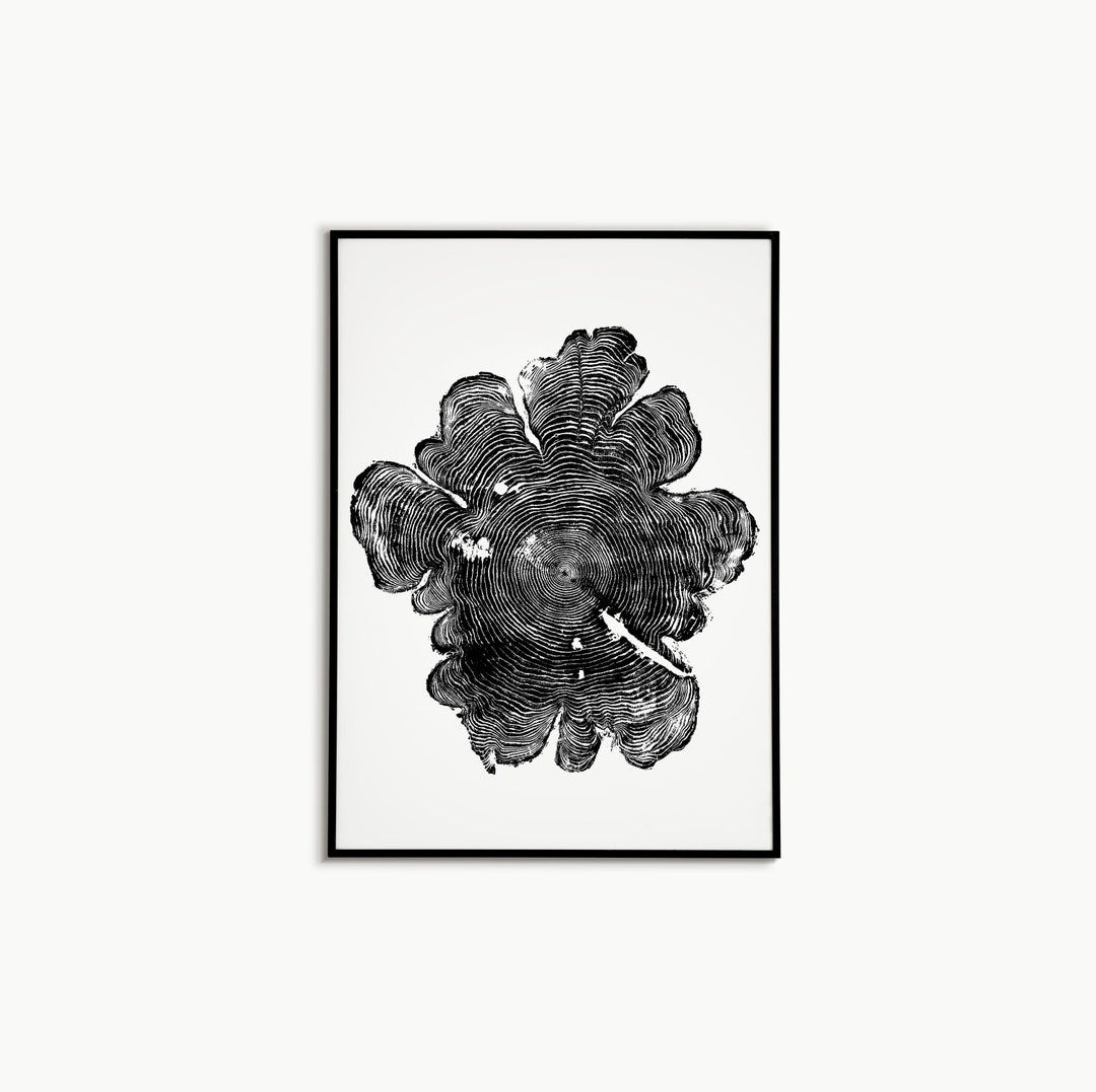 Tree Ring Art Minimalist Simple Wall Decor Tree Decor Illustration