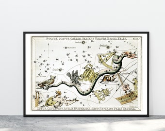Sidney Hall’s Astronomical Chart Illustration of the Noctua, Corvus, Crater, Sextans Uraniae, Hydra, Constellations, Astrology
