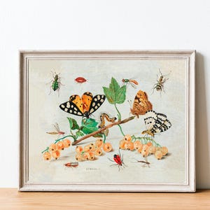 Insects & Fruit Print, Jan Van Kessel, Vintage Oil Painting Reproduction, Insect Decor, Fruit Decor, Neutral Wall Art, Butterflies, Wall Art