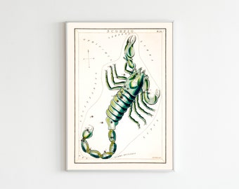 Sidney Hall's 1831 Astronomical Chart Illustration of the Zodiac Constellation Scorpio, Zodiac Gifts, Scorpio Art, Scorpion Print