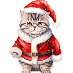Simpatico gatto American Shorthair, in abito da Babbo Natale, clipart su sfondo bianco, arte per camere, design per panca, disegni per custodia del telefono
