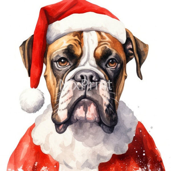 Boxer Dog Clipart in Santa Claus Dress, White Background, Designs For Mugs, Poster For Easels, Digital Sticker For Gameboy, Art Apartment