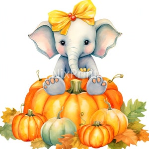 Puede incluir: Un lindo elefante gris con un lazo amarillo se sienta encima de una calabaza naranja grande. Hay tres calabazas más pequeñas alrededor de la calabaza grande, una es verde, una es naranja y una es naranja claro.