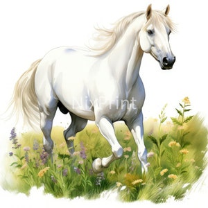 Cheval blanc dans un champ Clipart, Clipart aquarelle, dessins pour cartes de visite, impression pour paroles de chanson, images numériques, clipart thème ferme