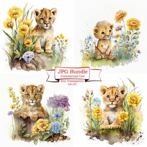 Conjunto de clipart de filhote de leão - downloads de imagens digitais de alta qualidade para uso comercial, arquivo de sublimação, aquarela, primavera, flores, aquarela