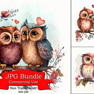 Clipart di gufi, acquerello di gufi cartoni animati di San Valentino: design affascinante e stravagante a tema d'amore, uso commerciale, 300 DPI