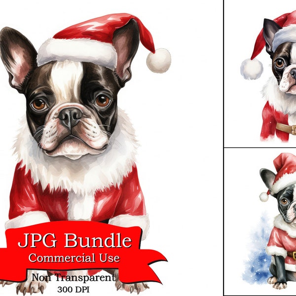 Boston Terrier Dog in Santa Claus Dress, White Background, Wall Art For High School, Wall Art For Salon, Images For Painting, images numériques