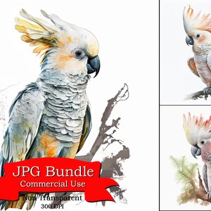 Cockatoo Clipart: Vibrant Tropical Bird Cliparts, Non-Transparent Background,  Nature & Exotic Bird-Themed Projects commercial  Use