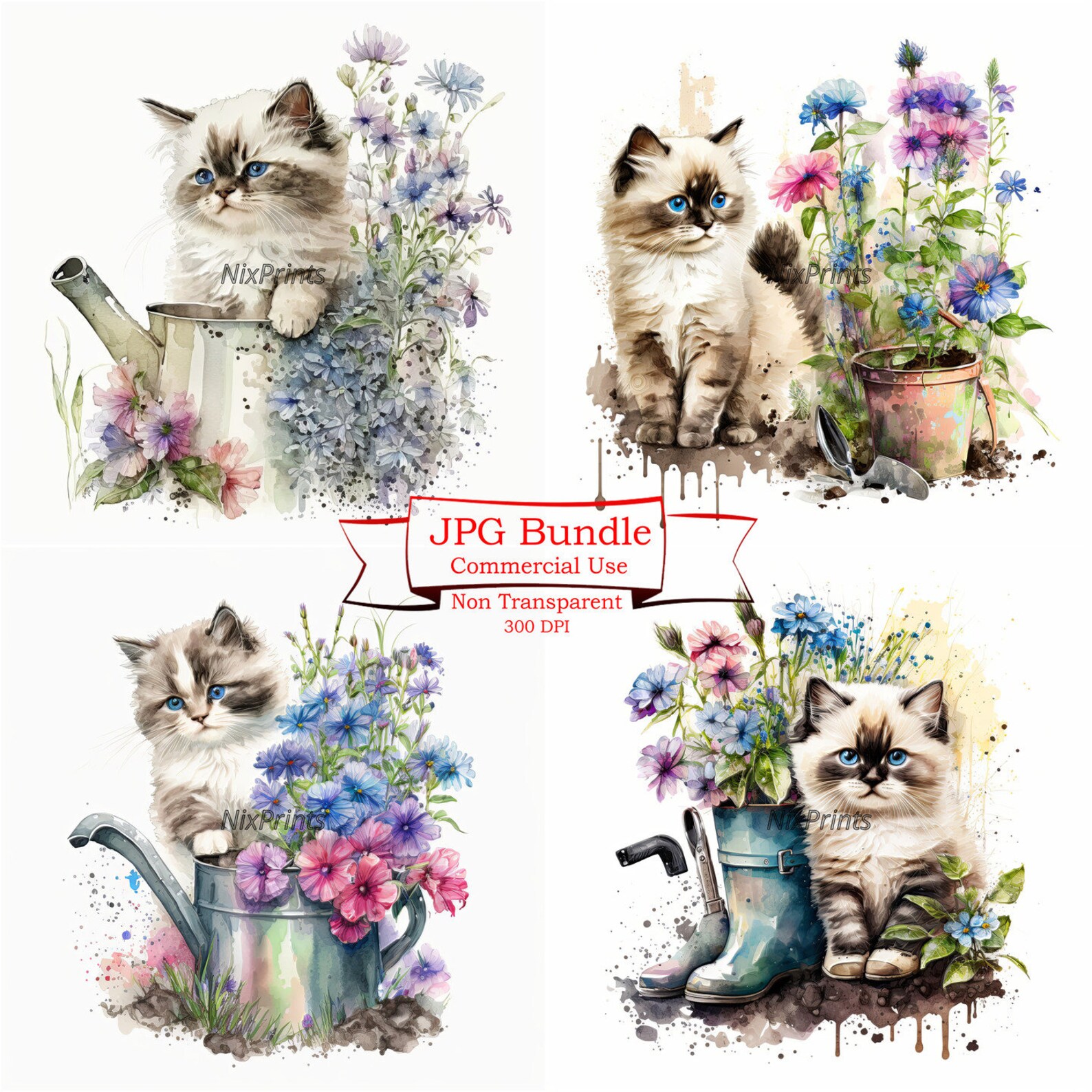 Ragdoll Cat Clipart and Spring Flowers Digital Images for Commercial ...