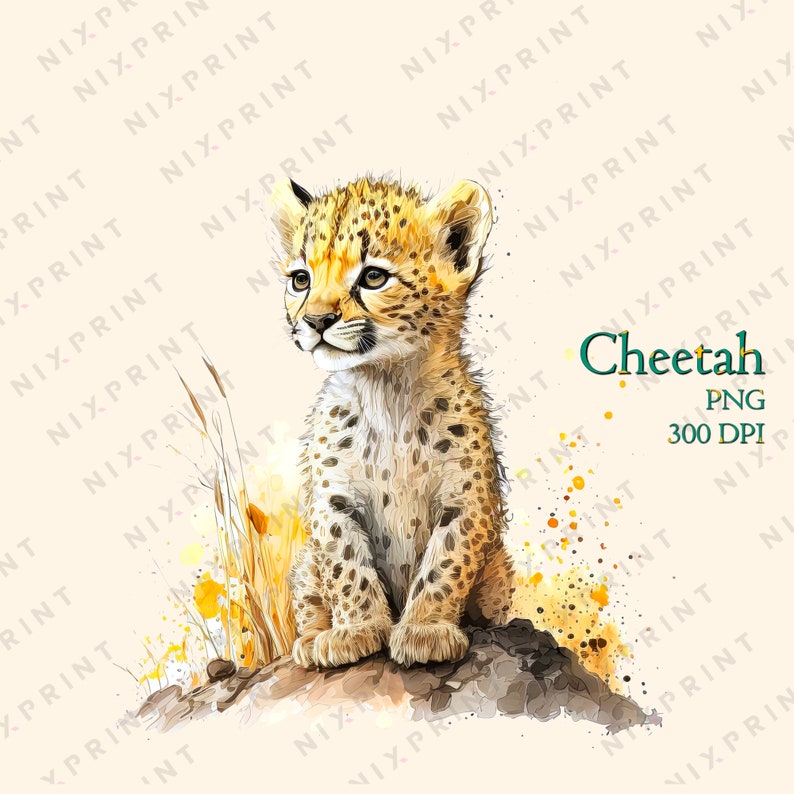 Cute Safari Animal Watercolor Clipart Bundle for Sublimation - Etsy
