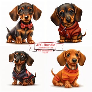 Dackel Welpen Clipart Pack im JPG Format, kommerzielle Nutzung, Sofortiger Download mit Hut und Jacke, Hund Haustier Portrait Kunst, Tierliebhaber Clipart
