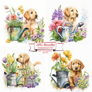 Golden Retriever clipart, puppy, lente bloemen en tuinieren thema, digitale afbeelding downloads, commercieel gebruik, 300 DPI, hoge kwaliteit JPG's