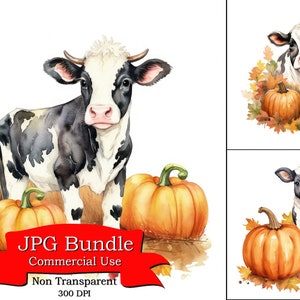 Może przedstawiać: Aquarela przedstawiająca czarno-białą krowę z brązowymi i pomarańczowymi dyniami i jesiennymi liśćmi. Obrazek jest oznaczony jako "JPG Bundle Commercial Use Non Transparent 300 DPI".