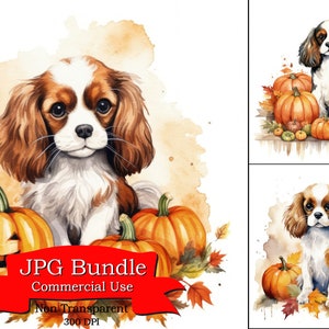 Bonito Cavalier King Charles Spaniel Patch de abóbora outono temporada aquarela clipart, designs para escuro, adesivo digital para Gameboy