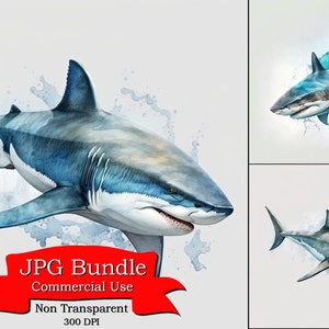 Shark Cartoon Watercolor Clipart, Cute Ocean Animal Art, Digital Download, Non-Transparent Background, Commercial Use, Playful Design