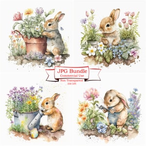 Bunny Clipart and Digital Paper Crafts for Commercial Use | Digital Image Downloads, Spring Flowers Gardening, Watercolor