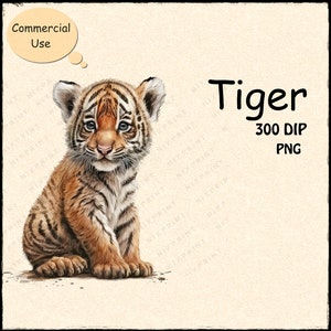 Tiger Watercolor Clipart , Cute Baby Tiger digital clipart, PNG File ,Transparent background and Adorable Design, Tiger Sublimation