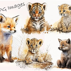 Cute Safari Animal Watercolor Clipart Bundle for Sublimation and Digital Projects, Clipart PNG, Baby Safari Animals Clipart Digital Files.