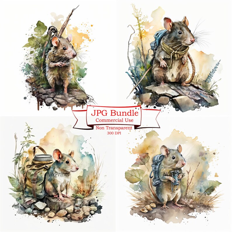 Rat Wilderness Journey: Camping Wild West Spring Nature - Etsy