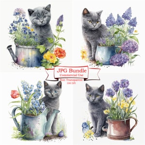 Clipart de chat bleu russe, thème de jardinage de fleurs de printemps, téléchargements d'images numériques, JPG de haute qualité, utilisation commerciale, aquarelle