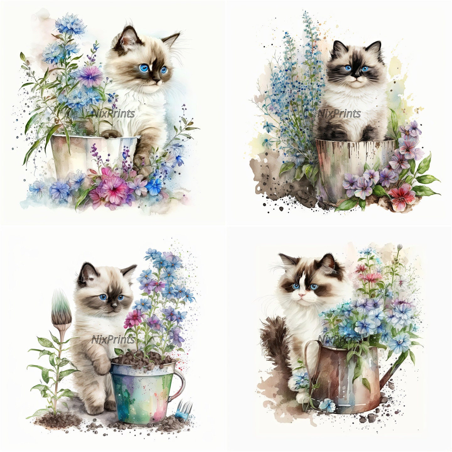 Ragdoll Cat Clipart and Spring Flowers Digital Images for Commercial ...