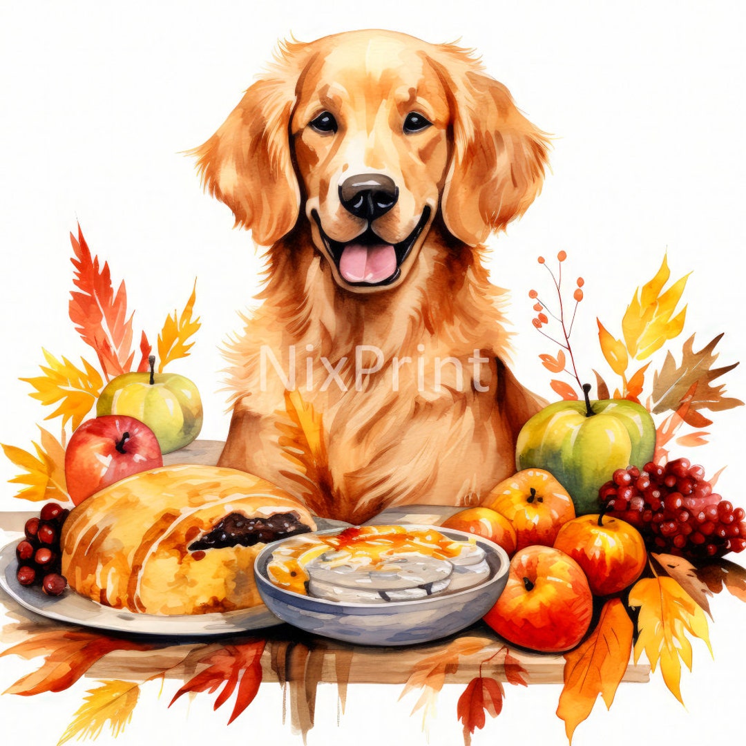 Is petsmart open on thanksgiving day 2024