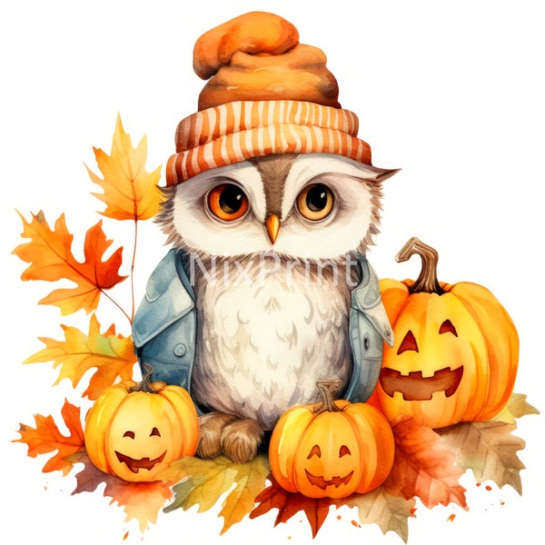 Owl Pumpkin Patch Clipart, Owl Clipart, Picture For Papa, Images For Transfer, Digital Sticker For License Plate Frame, Poster For Event