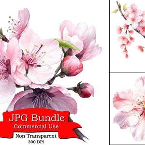 Japanische Kirschblüte Sakura Blume Clipart, JPG Format, digitales Papier Handwerk, digitaler Planer, POD Designs, Clipart für digitale Aufkleber