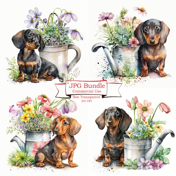 Dachshund Clipart with Spring Flowers, Gardening Theme, High Quality JPGs for Commercial Use, Digital Image Downloads