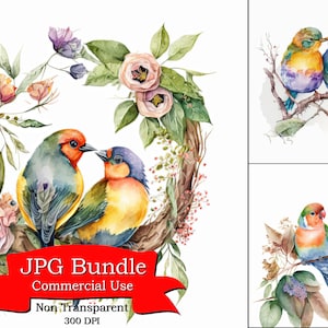 Pássaros de amor romântico com elementos florais clipart em aquarela: formato JPG, não transparente, projetos com tema natureza de amor perfeito, uso comercial